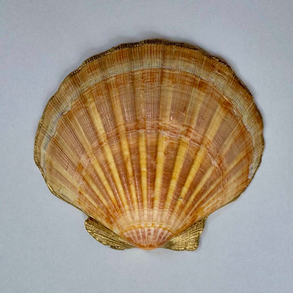 Tropical Fruit Trinket Dish | Scallop Shell Jewelry Dish | Coastal Decor - Picture 6 of 6